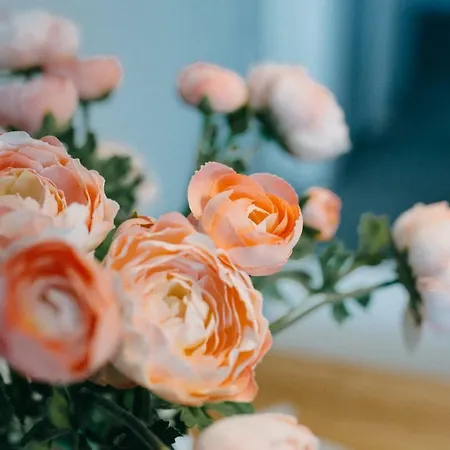 住宿加早餐酒店 Salsedine Sea View 萨莱诺