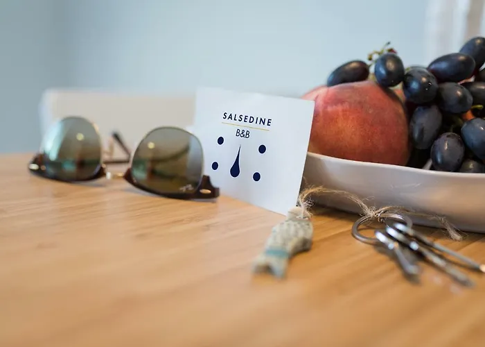 住宿加早餐酒店 Salsedine Sea View 4*