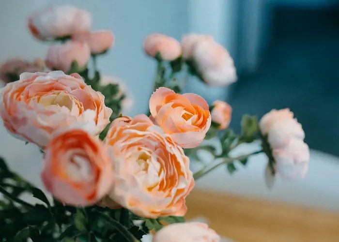 住宿加早餐酒店 Salsedine Sea View 萨莱诺