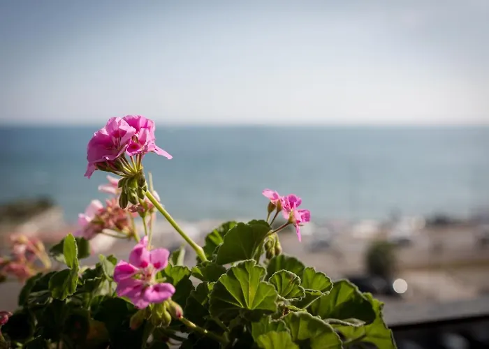 Salsedine Sea View 4* 萨莱诺